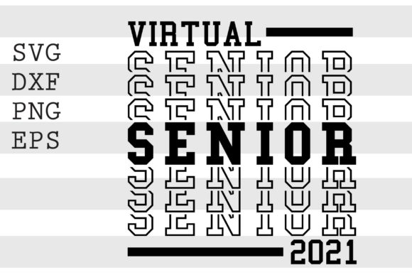 Virtual Senior 2021 SVG Review: A Practical Design for Real Projects